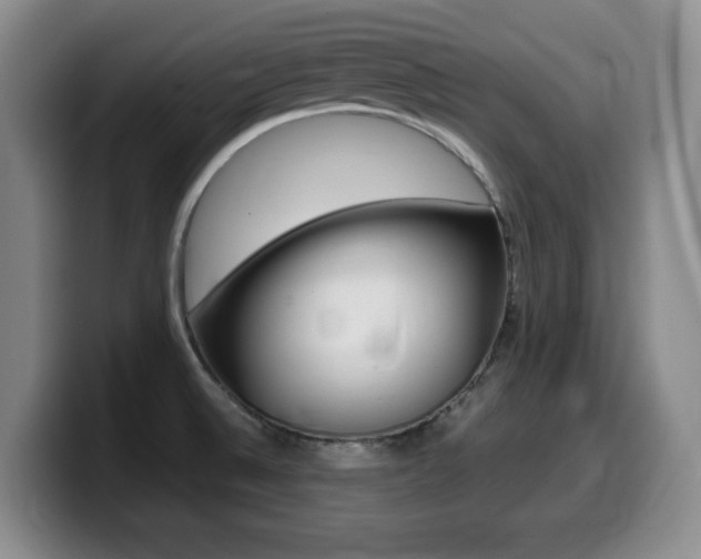 X0000099461524200805090737