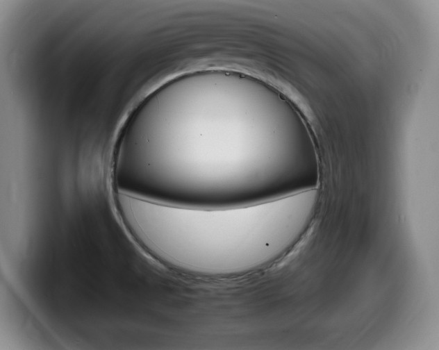 X0000099461525200805090737