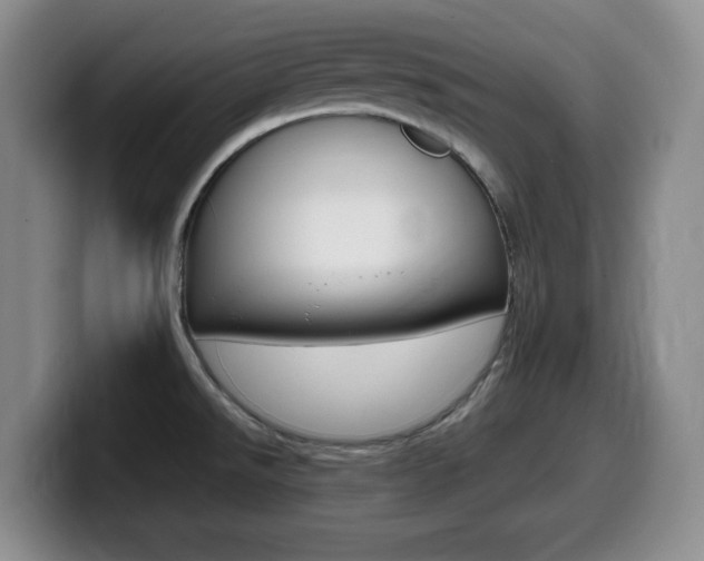 X0000099461526200805090737