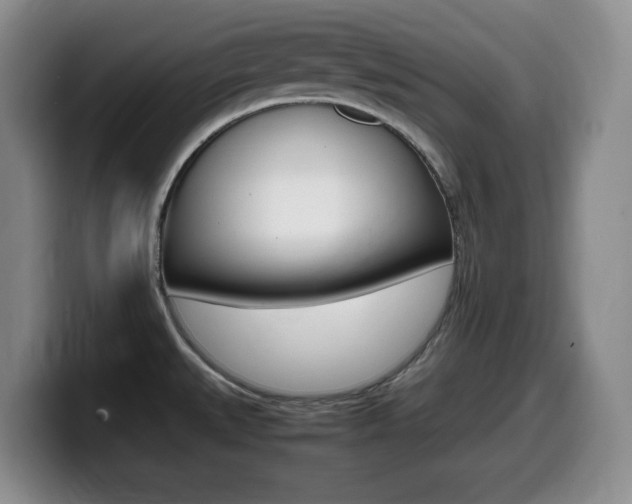 X0000099461527200805090737