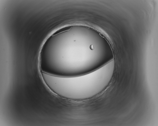 X0000099461528200805090737