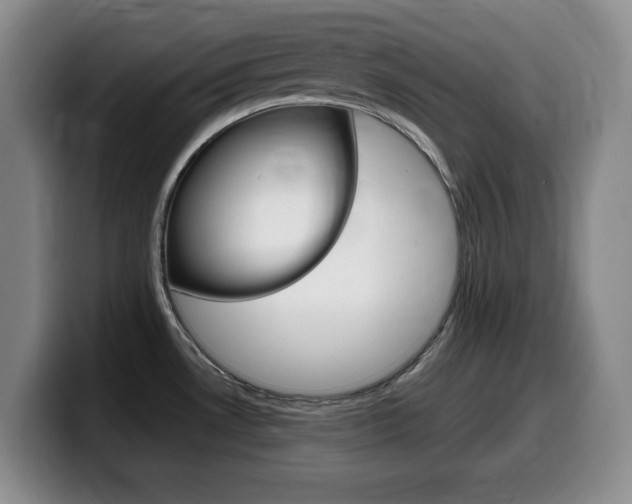 X0000099461530200805090737
