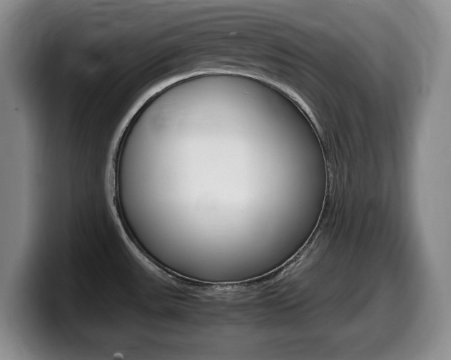 X0000099461531200805090737