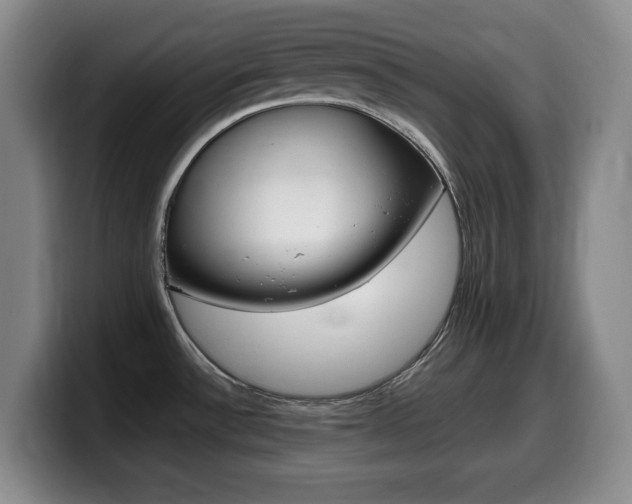 X0000099461532200805090737