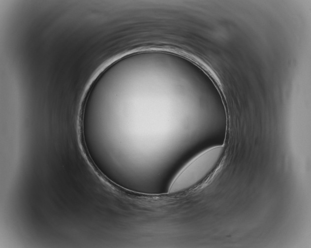 X0000099461533200805090737