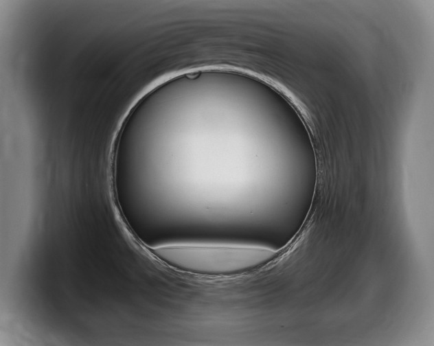 X0000099461534200805090737
