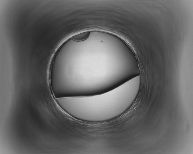 X0000099461535200805090737