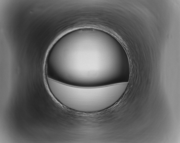 X0000099461536200805090737