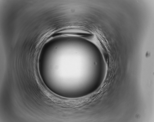 X0000099460001200805091540