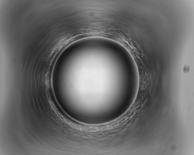 X0000099460002200805091540