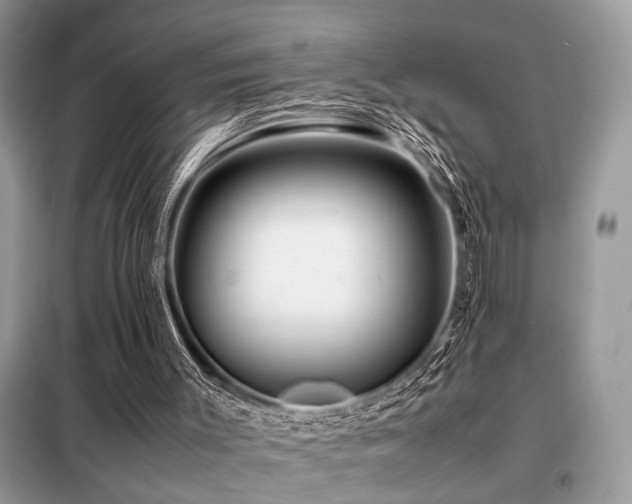 X0000099460003200805091540