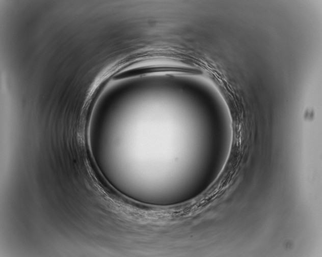 X0000099460004200805091540