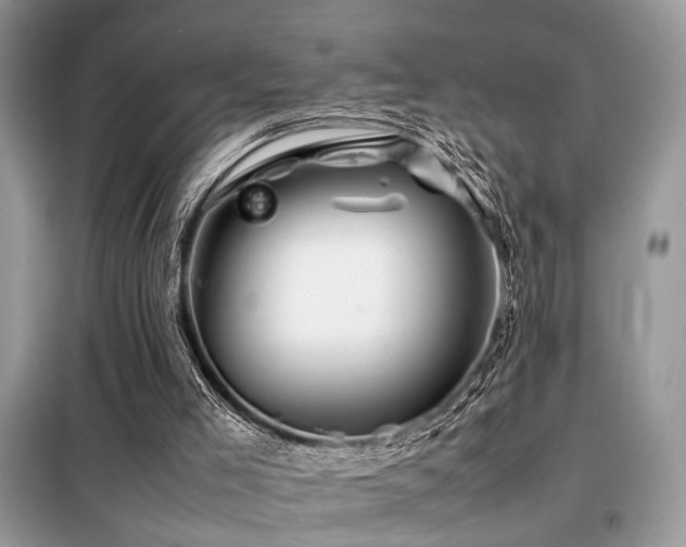 X0000099460005200805091540