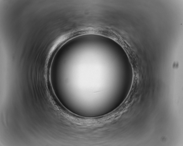 X0000099460006200805091540