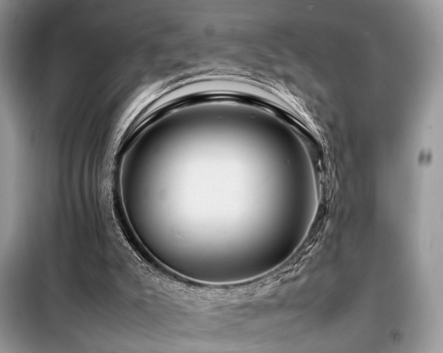 X0000099460007200805091540