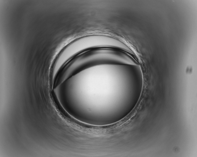 X0000099460008200805091540