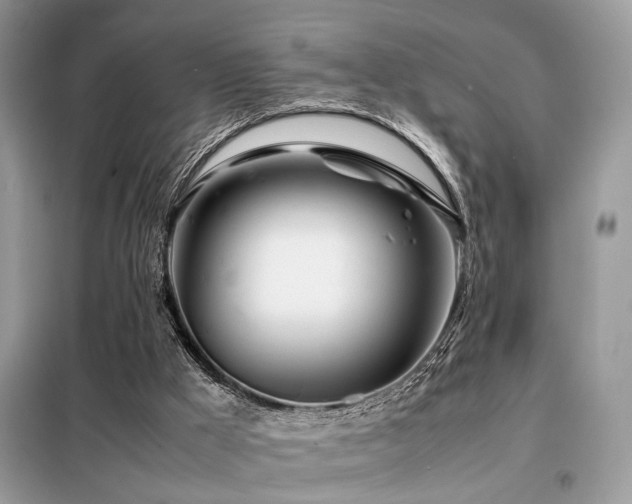 X0000099460009200805091540