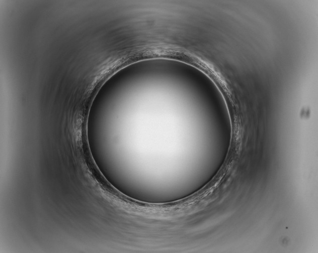 X0000099460010200805091540