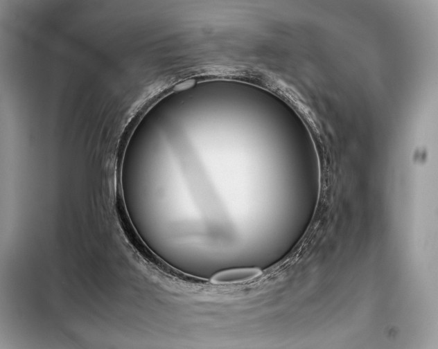 X0000099460011200805091540