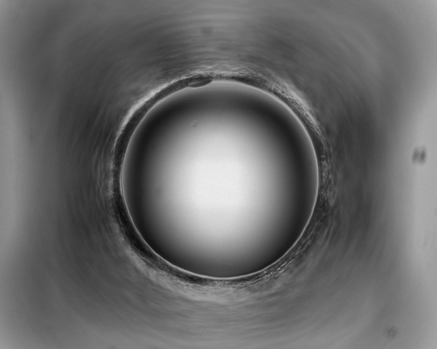 X0000099460012200805091540