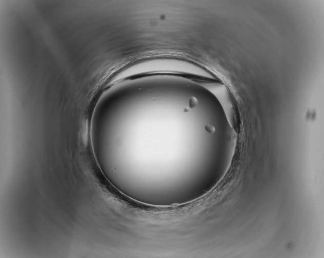 X0000099460013200805091540