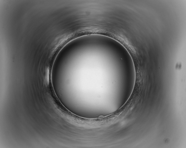 X0000099460014200805091540