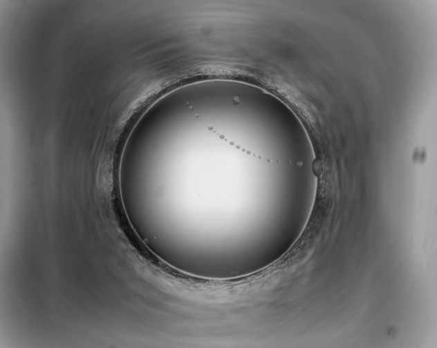 X0000099460015200805091540