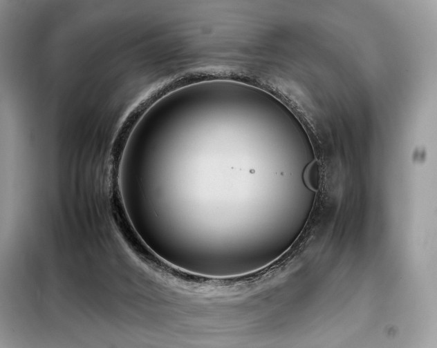 X0000099460016200805091540