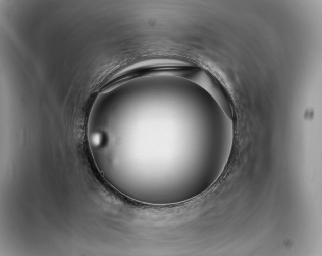 X0000099460017200805091540