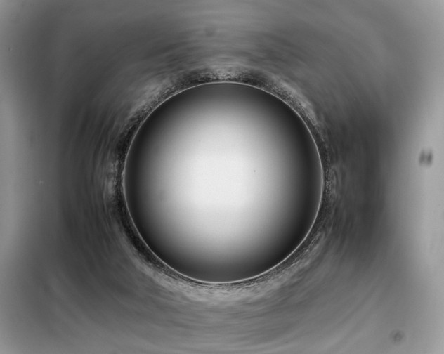 X0000099460018200805091540