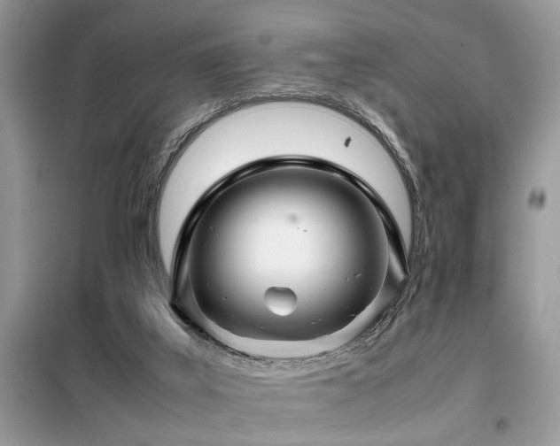 X0000099460019200805091540