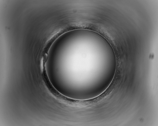 X0000099460020200805091540