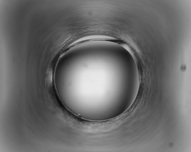 X0000099460021200805091540