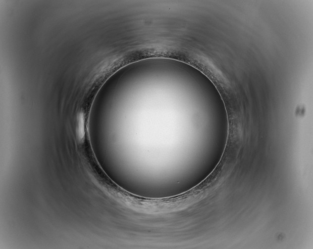 X0000099460022200805091540