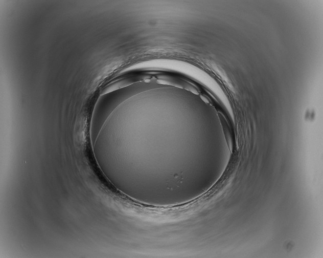 X0000099460023200805091540