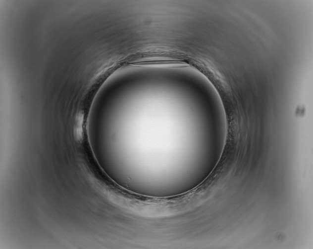 X0000099460024200805091540