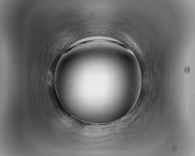 X0000099460025200805091539