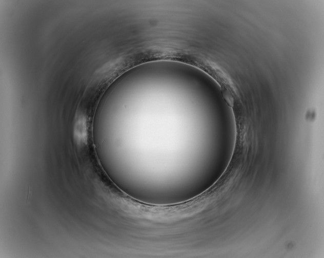 X0000099460026200805091539