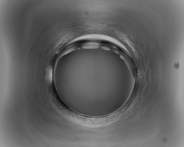 X0000099460027200805091539