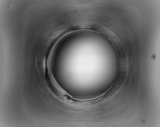 X0000099460028200805091539