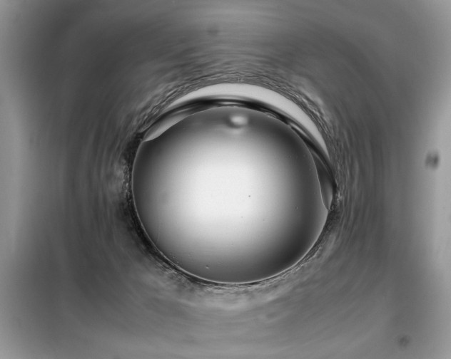 X0000099460029200805091539