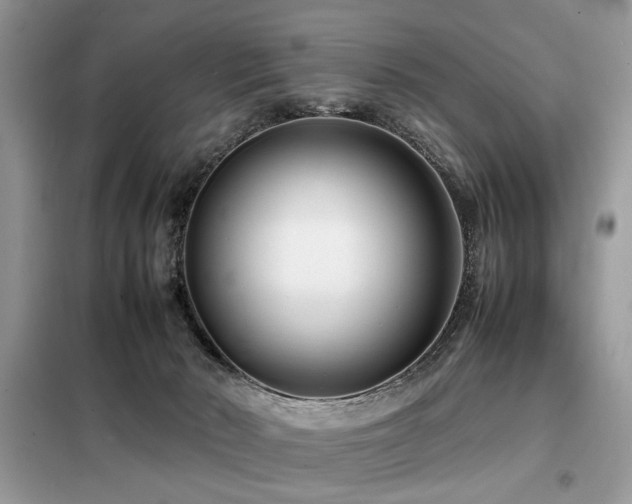 X0000099460030200805091539