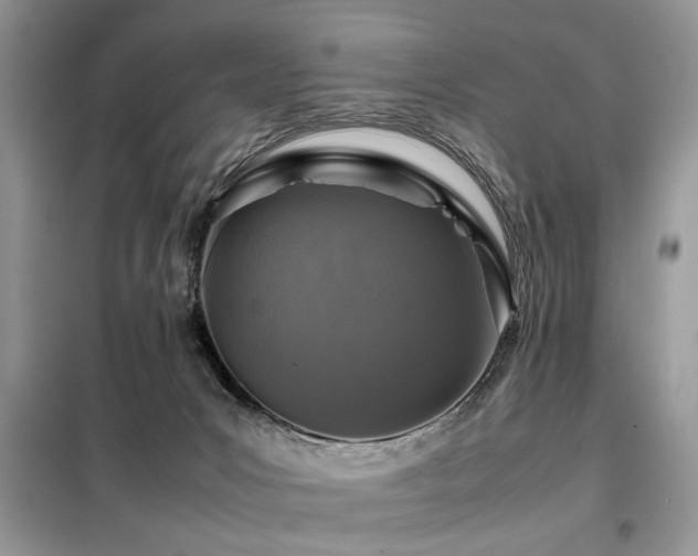 X0000099460031200805091539