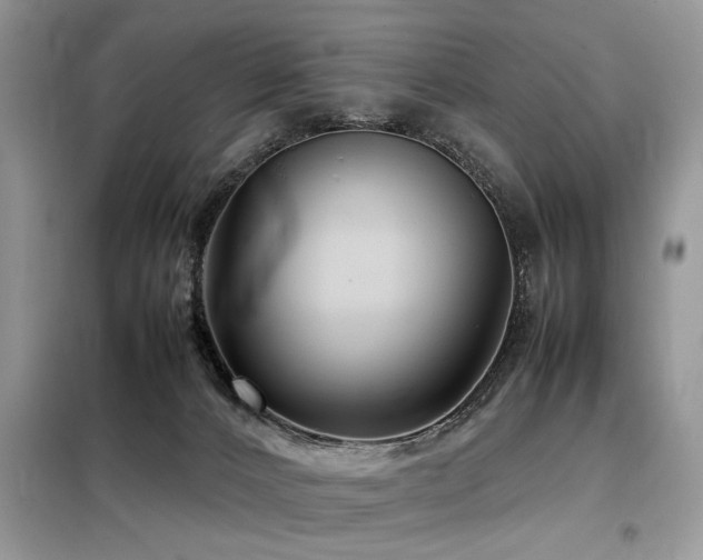 X0000099460032200805091539