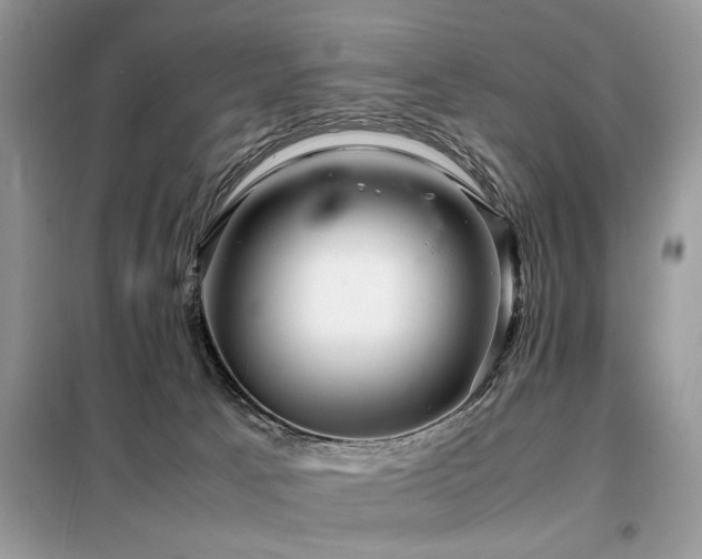 X0000099460033200805091539