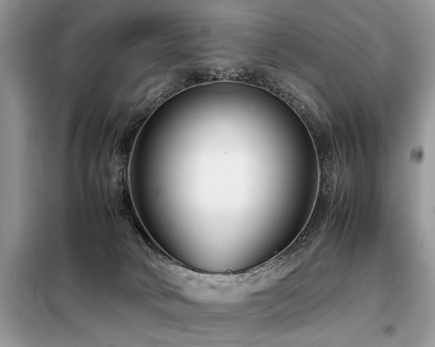 X0000099460034200805091539