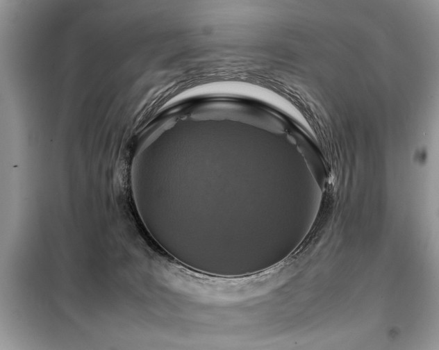 X0000099460035200805091539