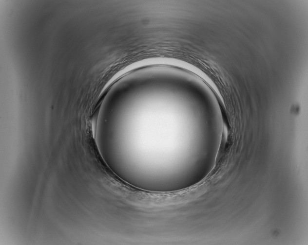 X0000099460037200805091539