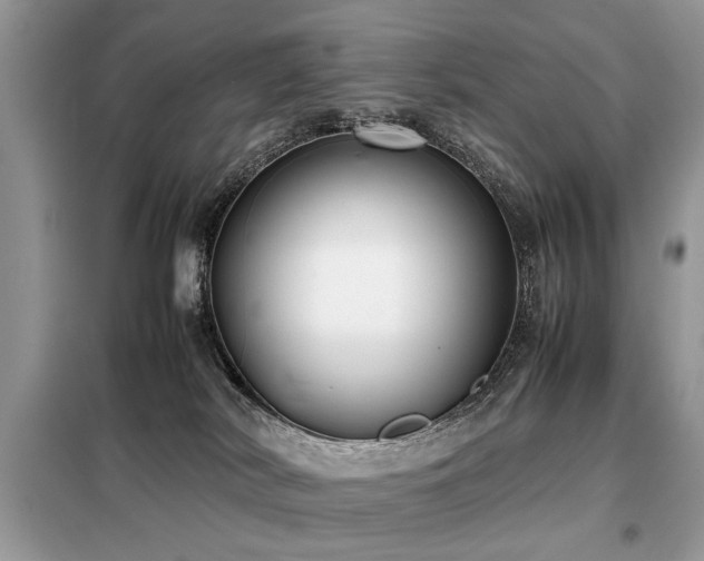 X0000099460038200805091539