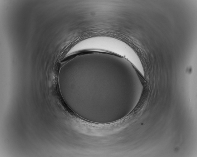 X0000099460039200805091539